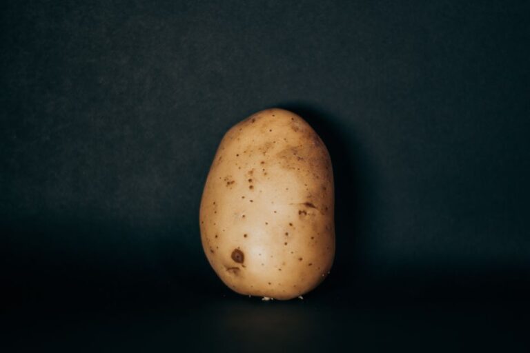 Une pomme de terre sur fond sombre