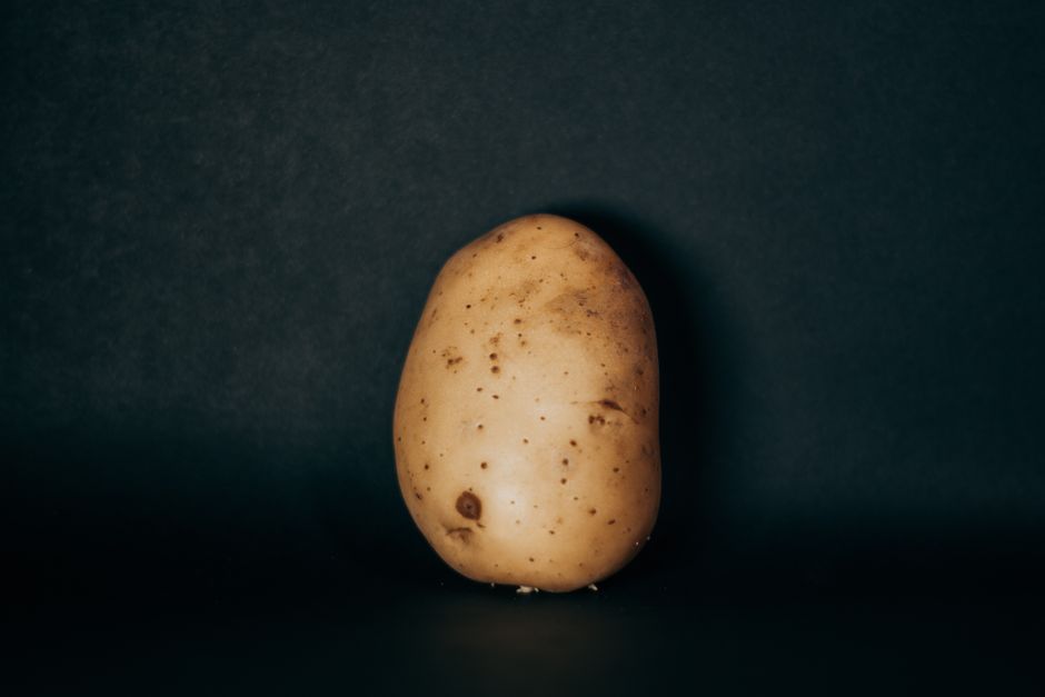 Une pomme de terre sur fond sombre