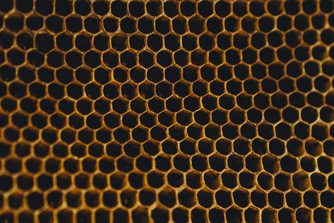 Structure hexagonale d'un nid d'abeille en gros plan